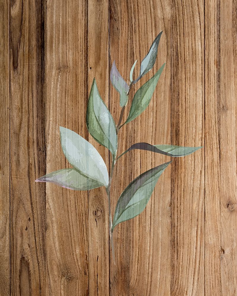 Leaf Wood 1 art print by Kimberly Allen for $57.95 CAD