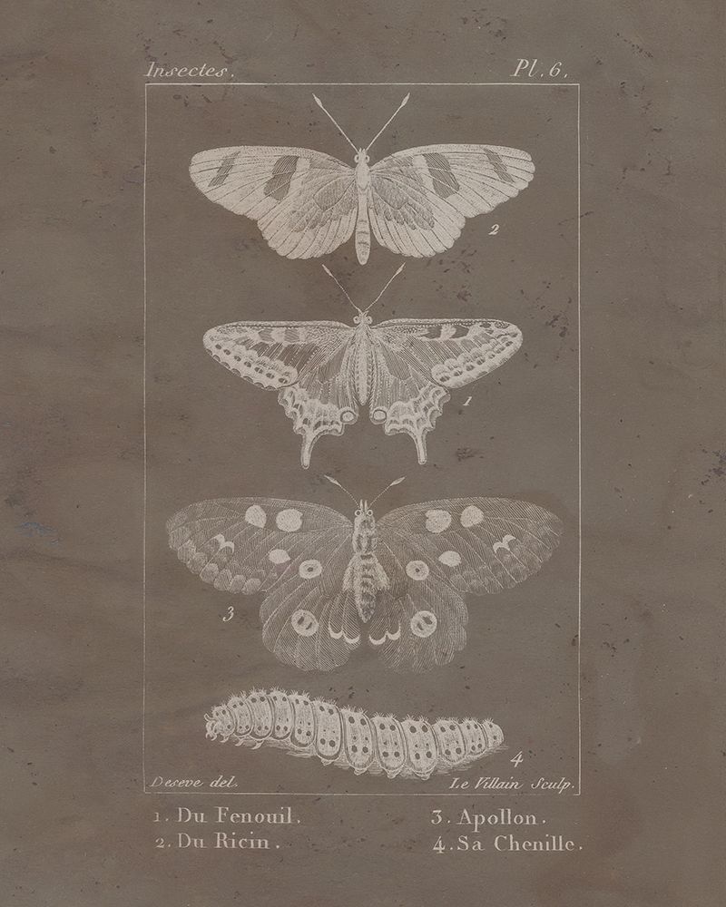 Vintage Insect 1 art print by Kimberly Allen for $57.95 CAD