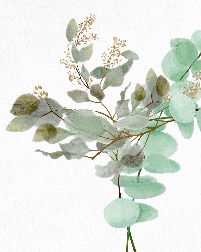 Eucalyptus 1 art print by Kimberly Allen for $57.95 CAD
