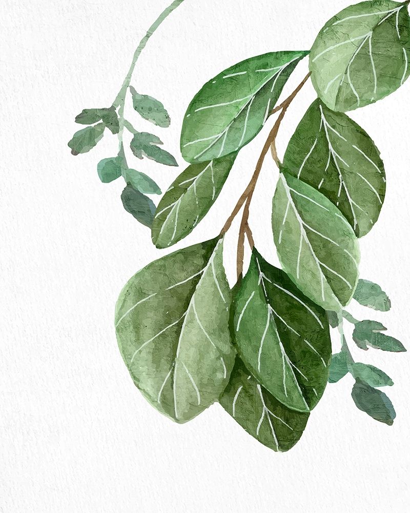 Greens 1 art print by Kimberly Allen for $57.95 CAD