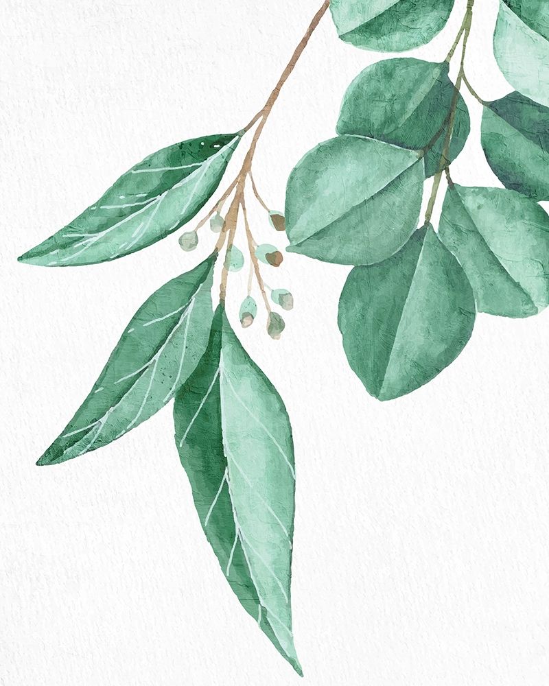 Greens 4 art print by Kimberly Allen for $57.95 CAD