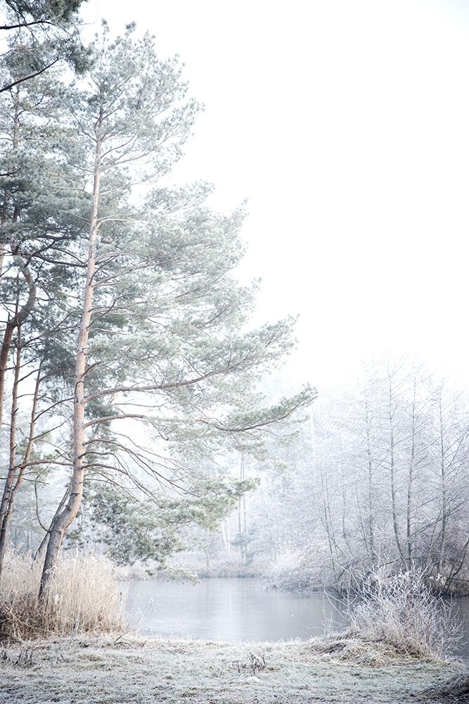 Silence art print by Kimberly Allen for $57.95 CAD