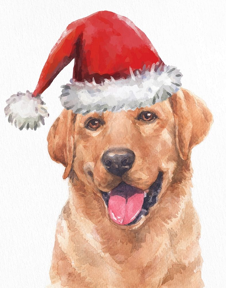 Yellow Lab Lights art print by Kimberly Allen for $57.95 CAD
