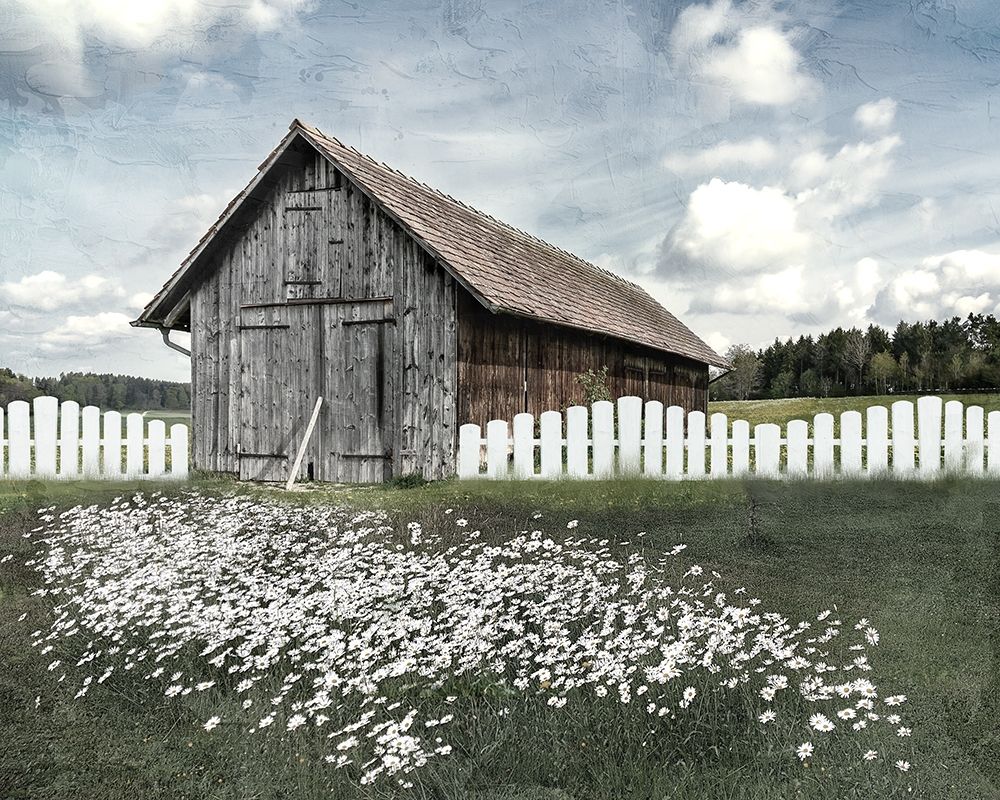 White Fence art print by Kimberly Allen for $57.95 CAD