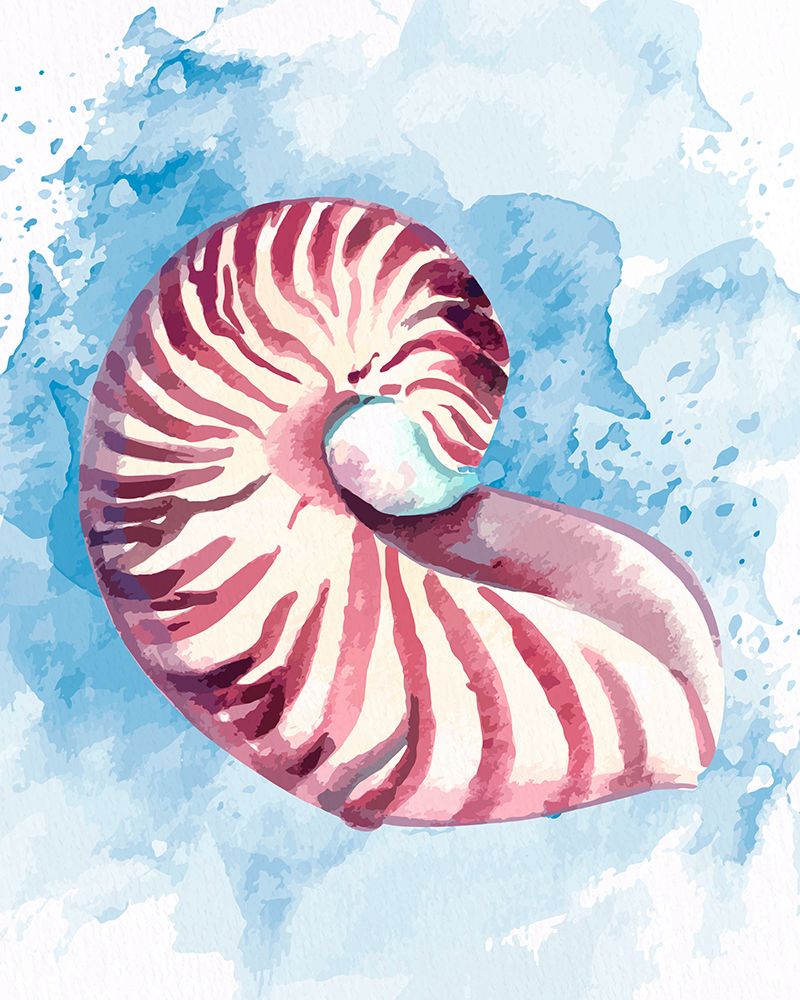 Coast Shell Pastel 1 art print by Kimberly Allen for $57.95 CAD