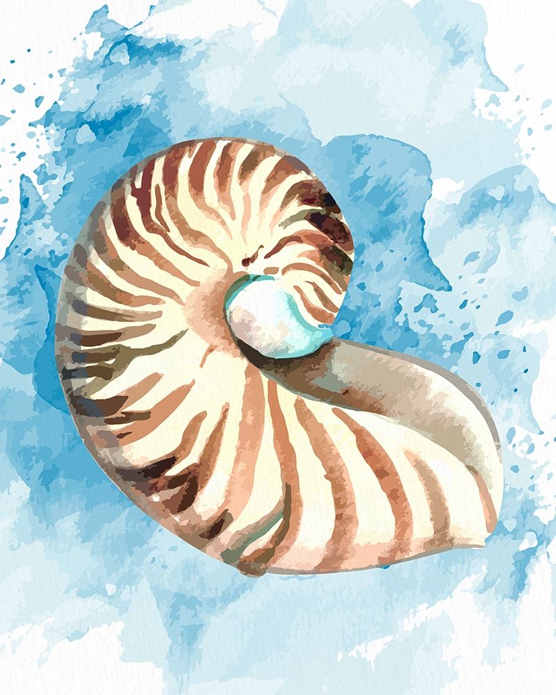 Coast Shell 1 art print by Kimberly Allen for $57.95 CAD