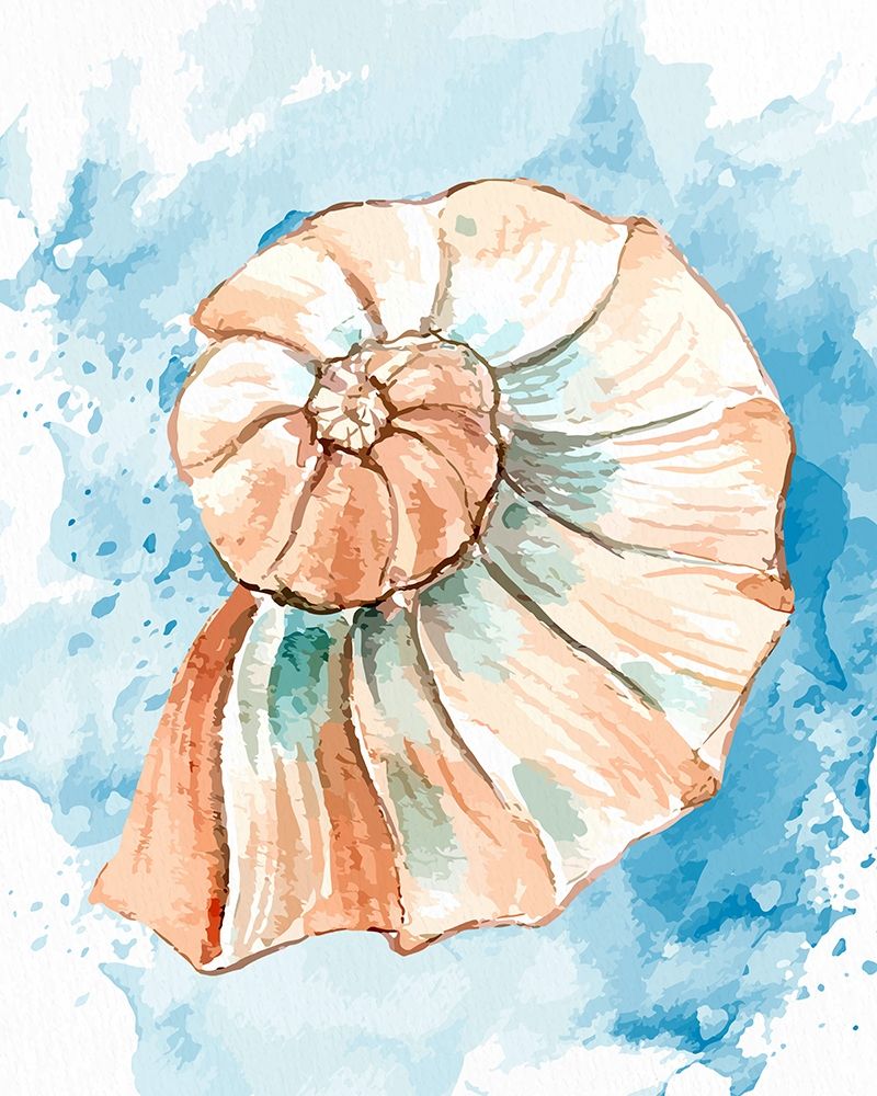 Coast Shell 2 art print by Kimberly Allen for $57.95 CAD