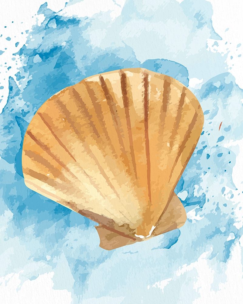Coast Shell 3 art print by Kimberly Allen for $57.95 CAD