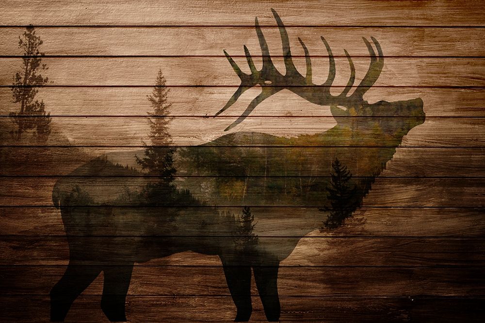 Elk Woods art print by Kimberly Allen for $57.95 CAD