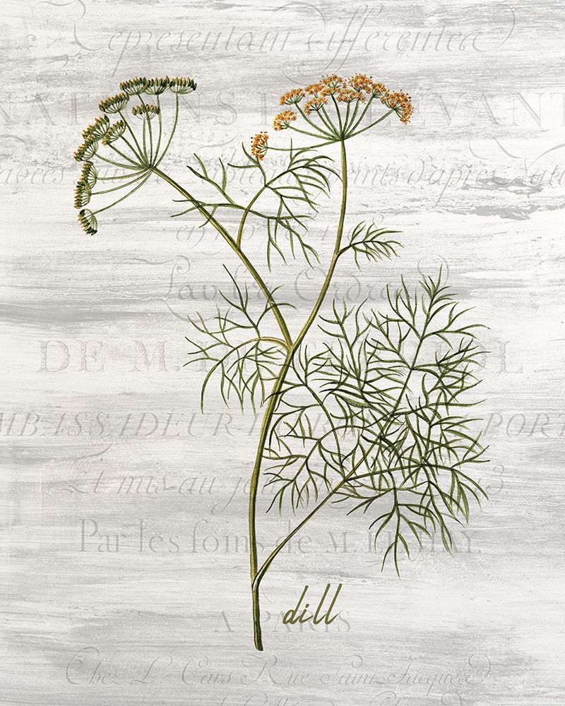 Fresh Cut Herbs 1 art print by Kimberly Allen for $57.95 CAD