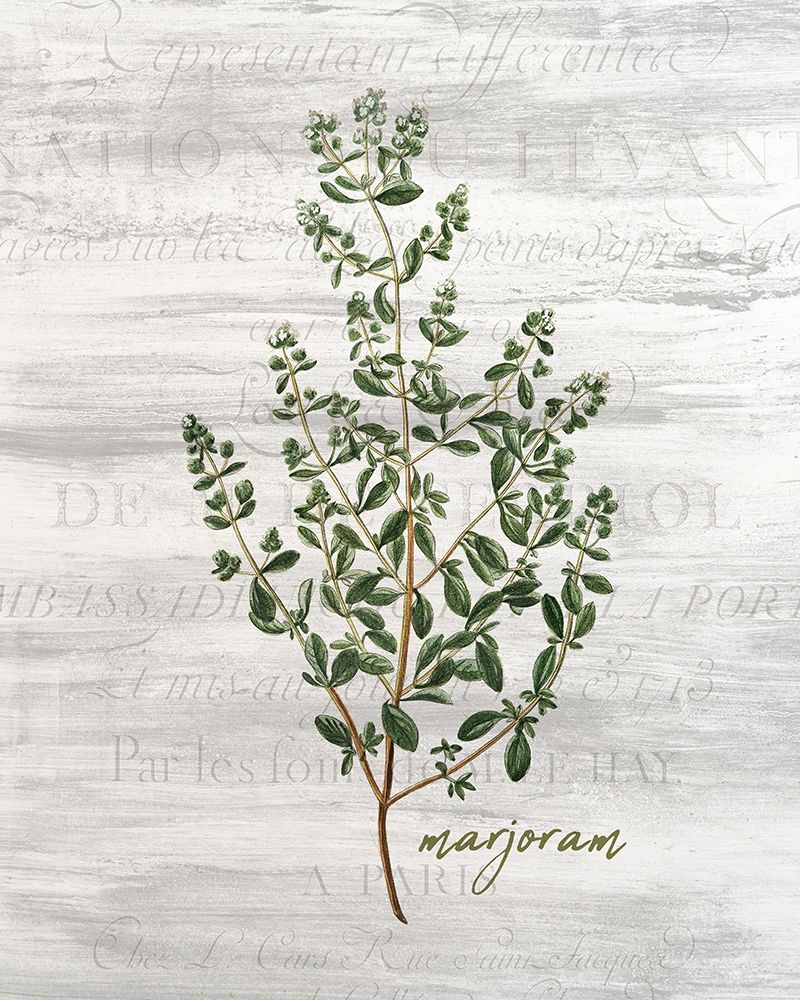 Fresh Cut Herbs 4 art print by Kimberly Allen for $57.95 CAD