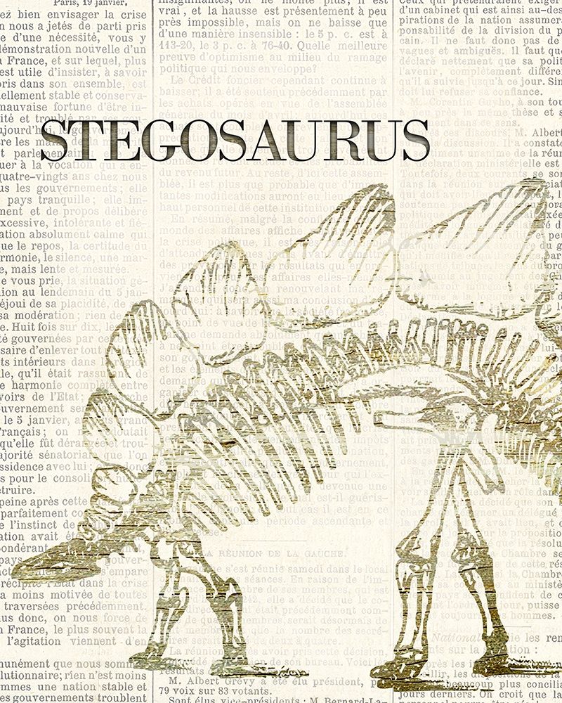 Stegosaurus art print by Kimberly Allen for $57.95 CAD