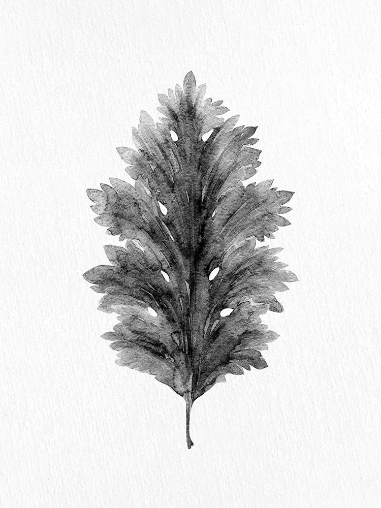 Acanthus Leaf 1 art print by Kimberly Allen for $57.95 CAD