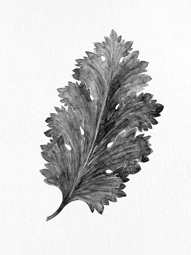 Acanthus Leaf 2 art print by Kimberly Allen for $57.95 CAD