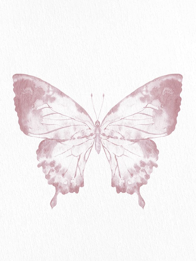 Pressed Butterfly 1 art print by Kimberly Allen for $57.95 CAD