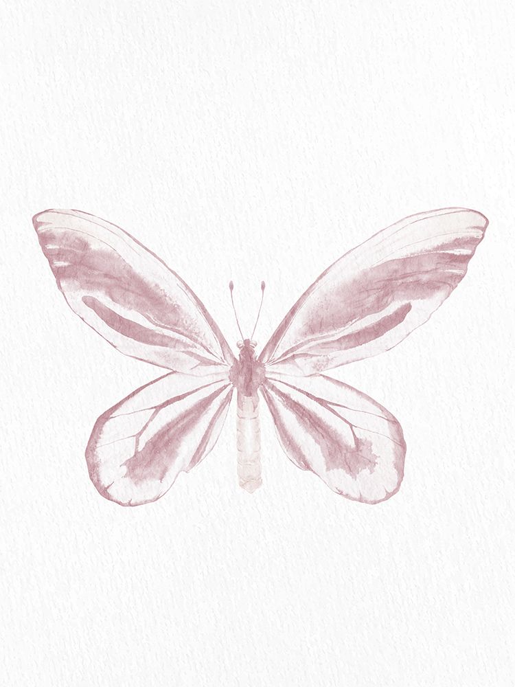 Pressed Butterfly 2 art print by Kimberly Allen for $57.95 CAD