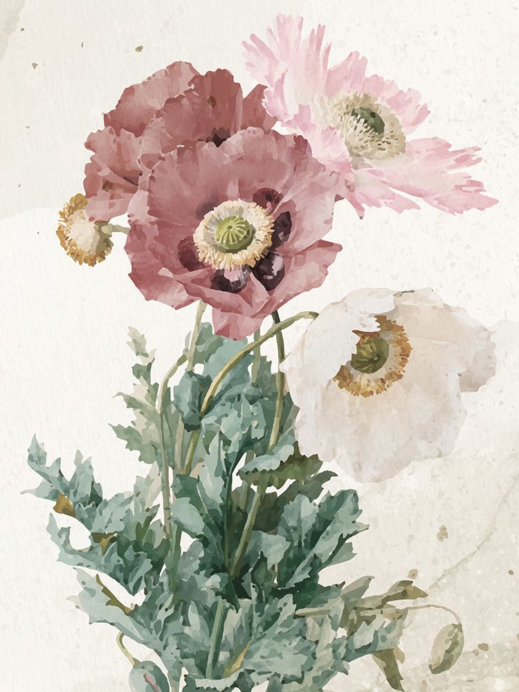 Vintage Flower art print by Kimberly Allen for $57.95 CAD