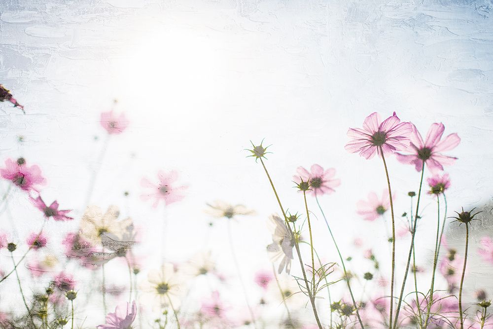 Wildflower Spring art print by Kimberly Allen for $57.95 CAD