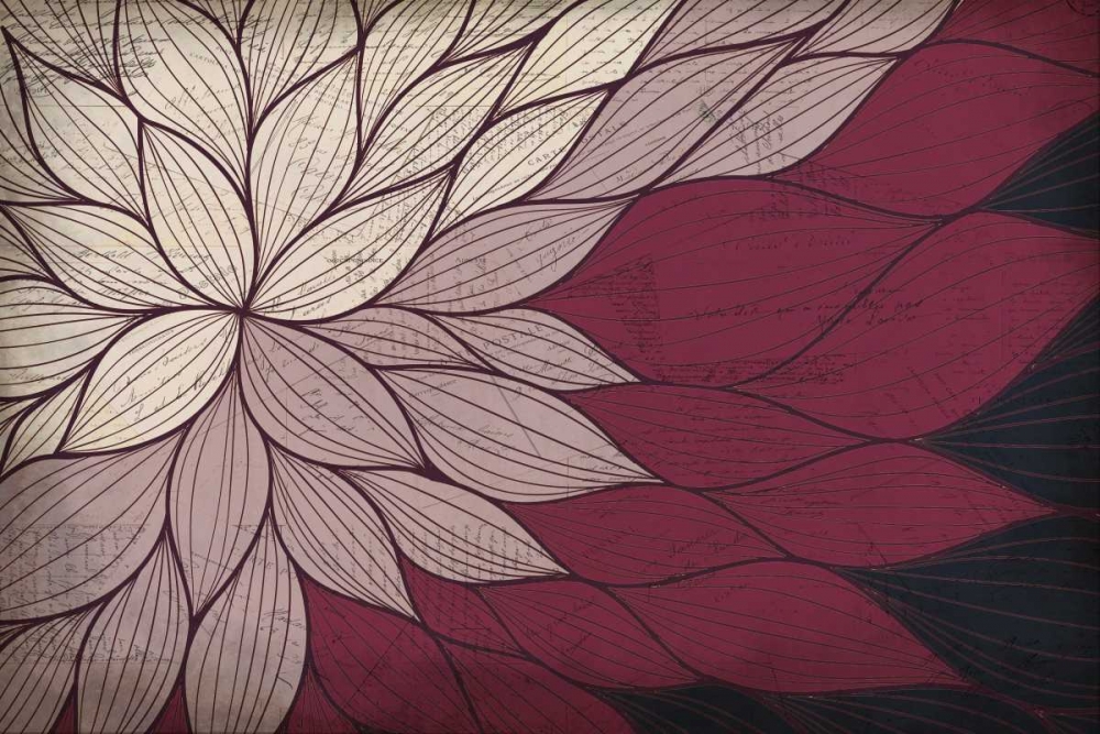 Layers of Petals art print by Kimberly Allen for $57.95 CAD