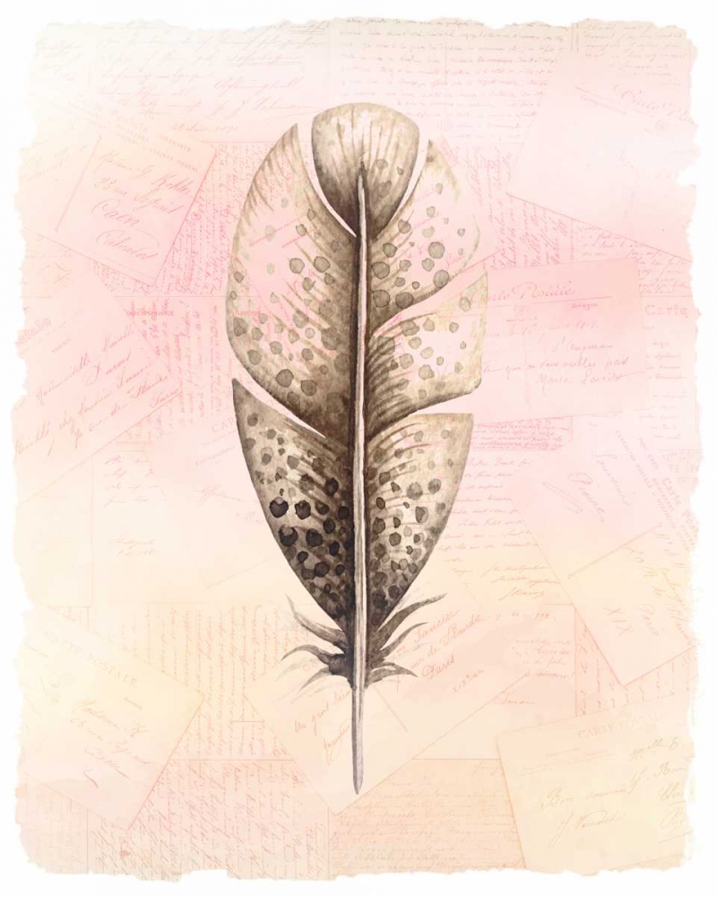 Spring Feather 2 art print by Kimberly Allen for $57.95 CAD