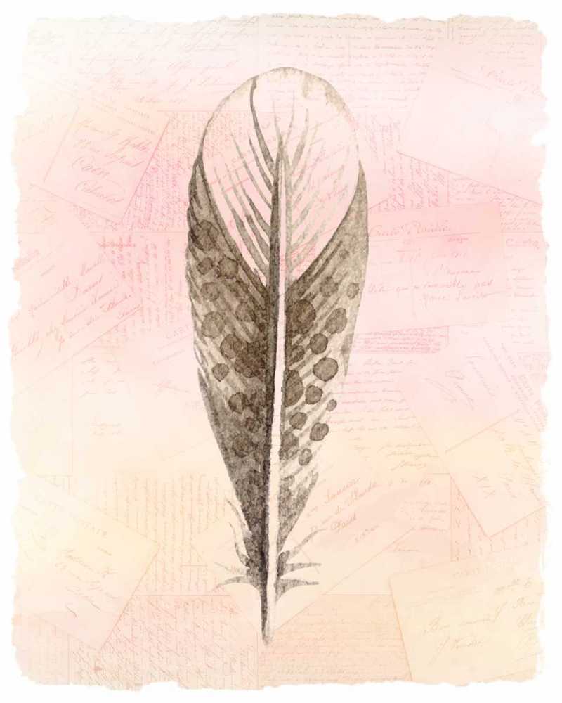 Spring Feather 3 art print by Kimberly Allen for $57.95 CAD