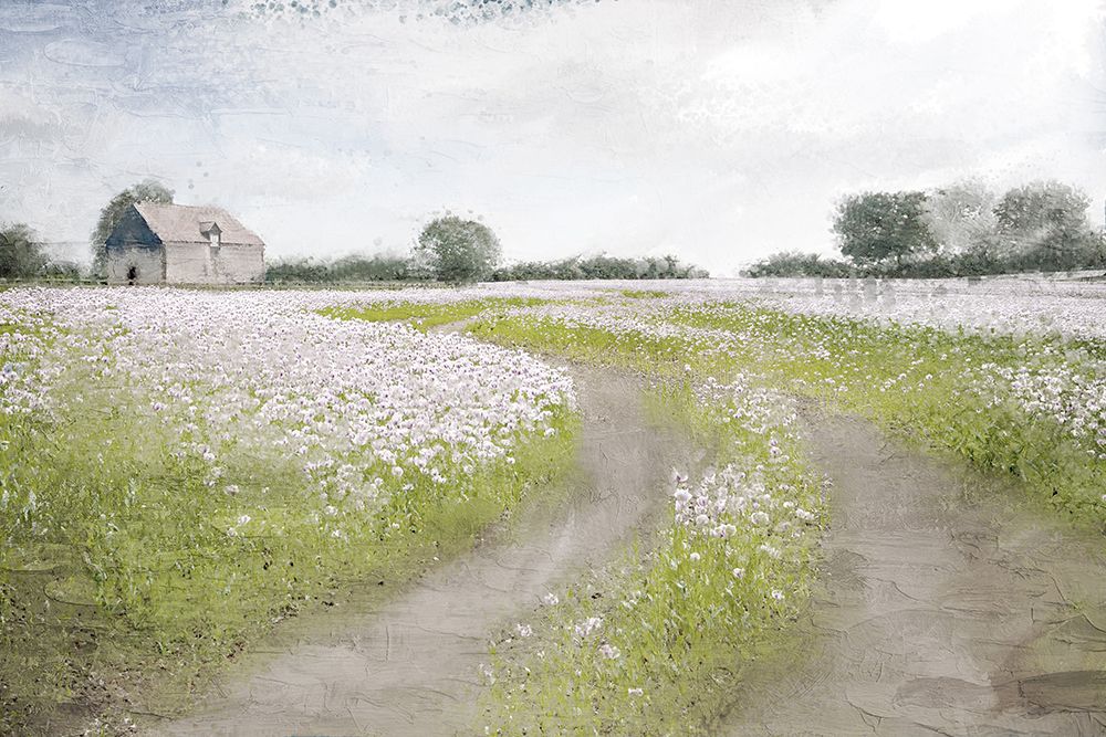 Country Roads art print by Kimberly Allen for $57.95 CAD