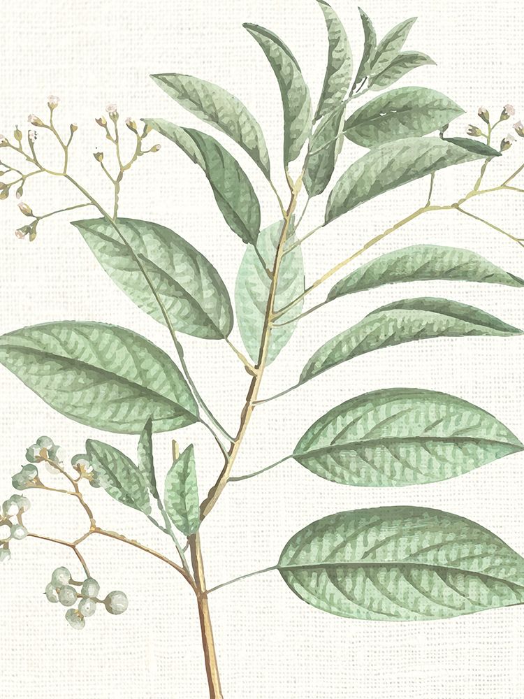 Branch 1 art print by Kimberly Allen for $57.95 CAD