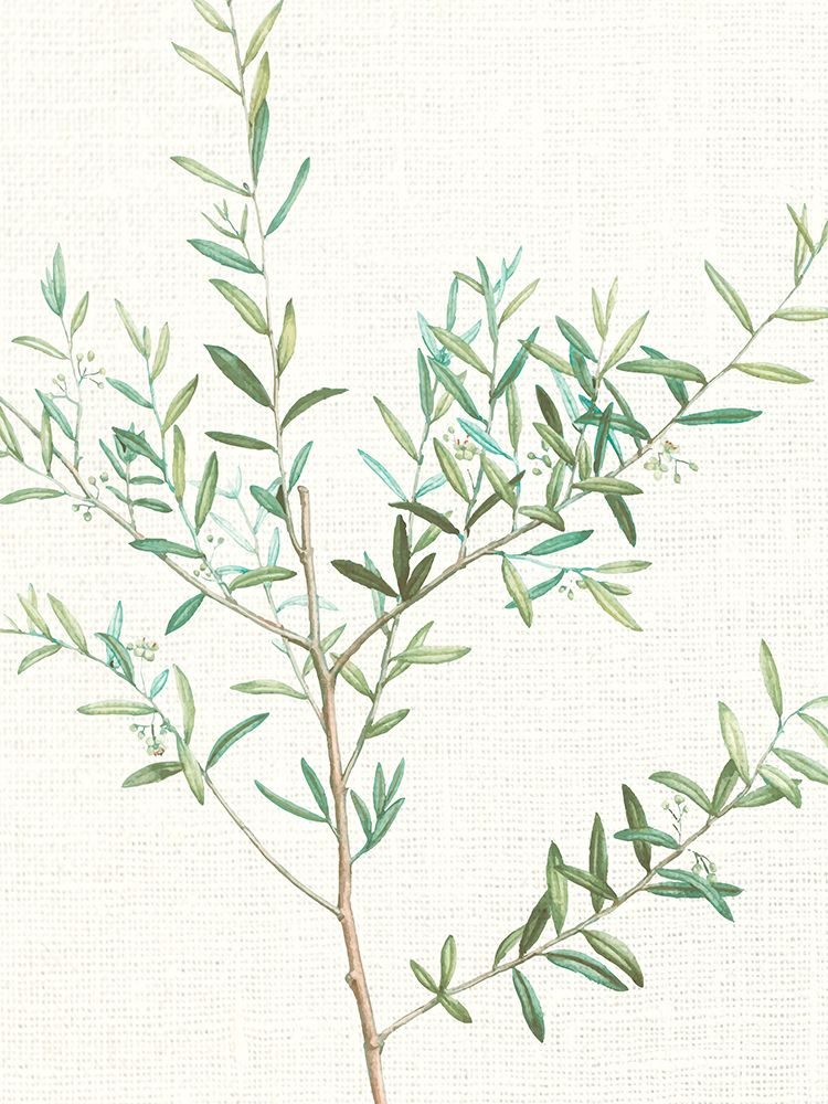 Branch 2 art print by Kimberly Allen for $57.95 CAD