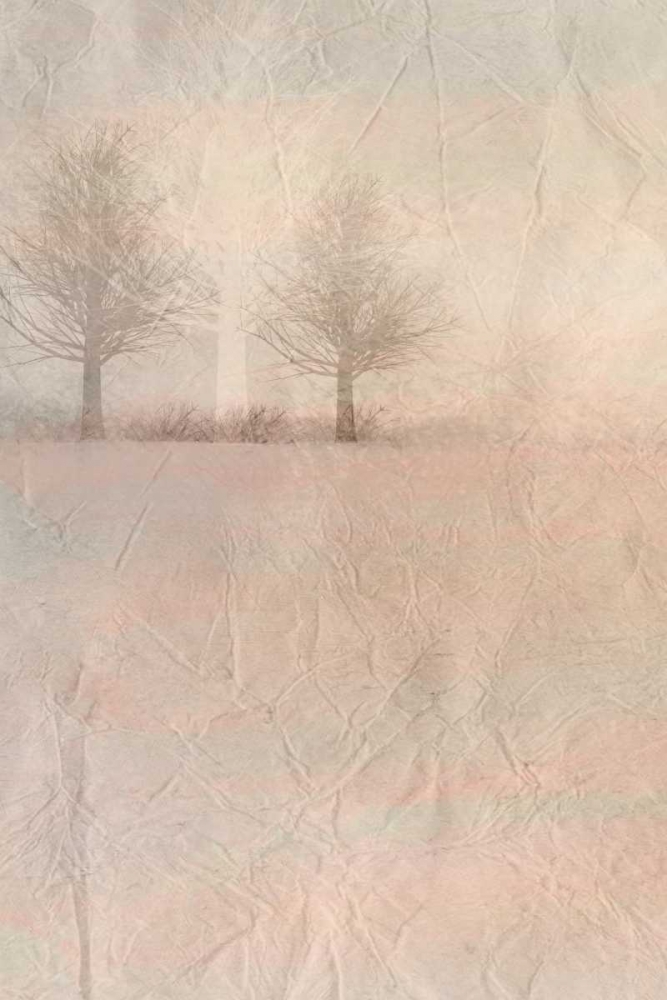 Dawn of Day 1 art print by Kimberly Allen for $57.95 CAD