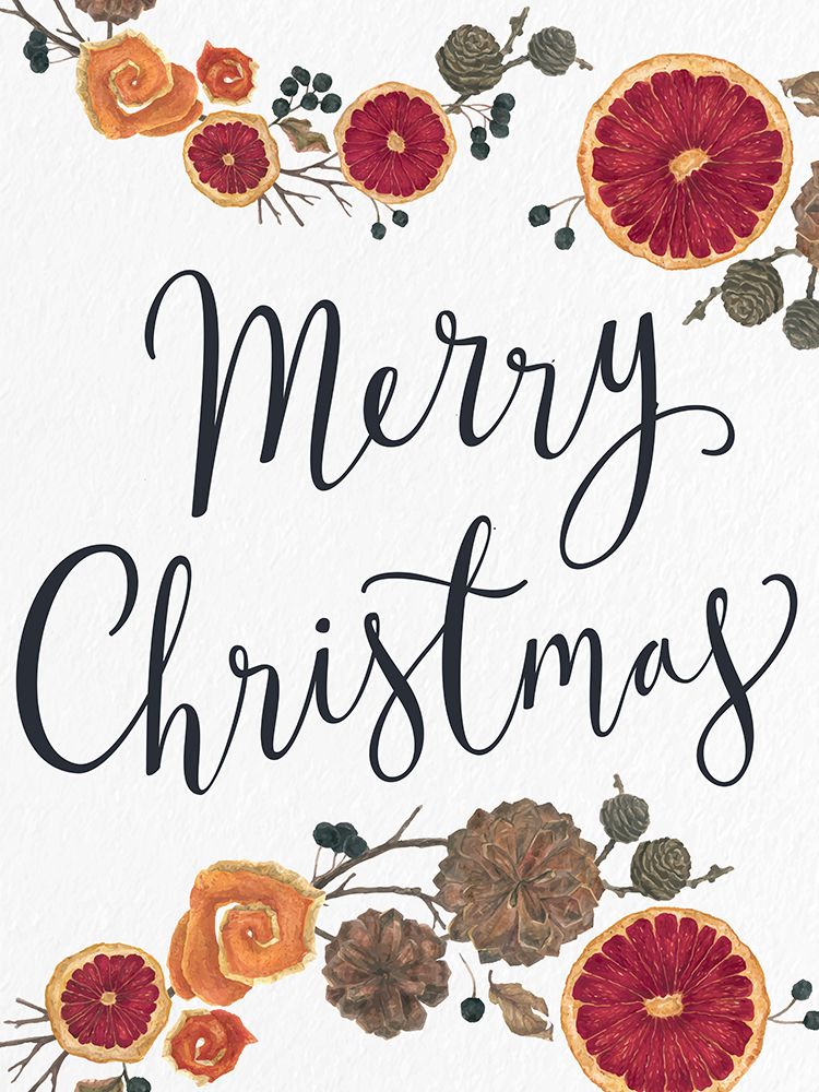 Merry Christmas Dried Fruit art print by Kimberly Allen for $57.95 CAD