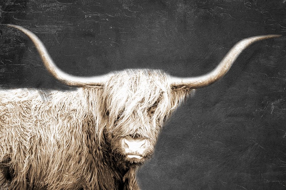 In the Highlands art print by Kimberly Allen for $57.95 CAD