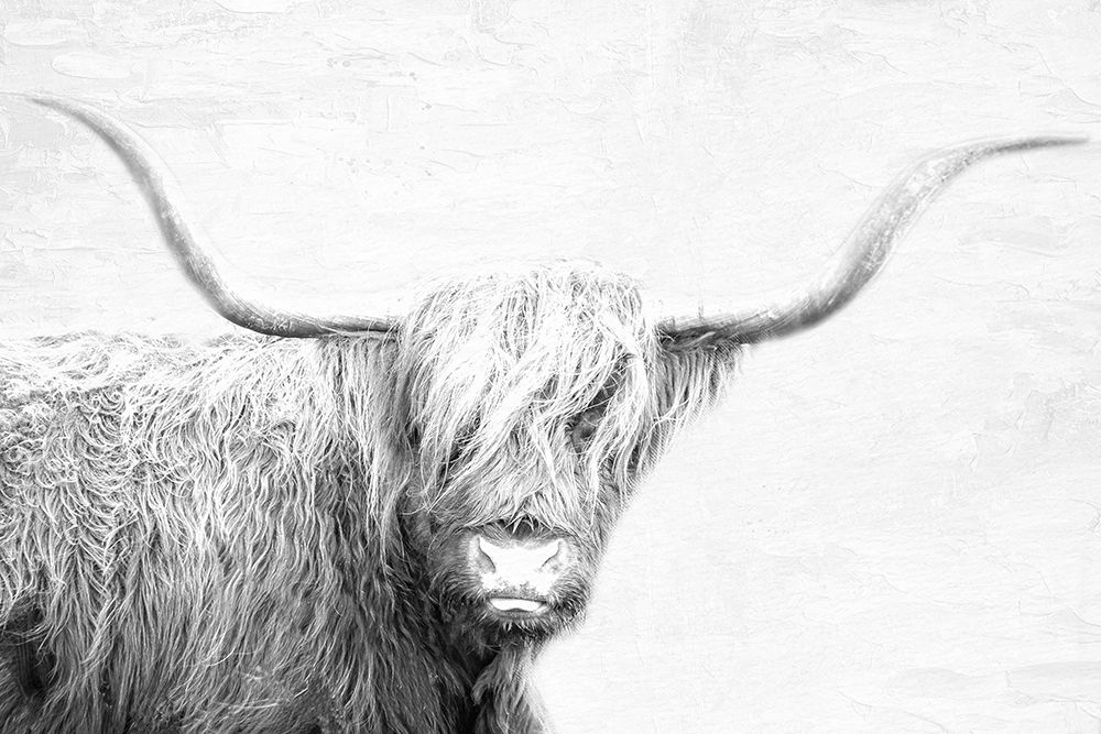 Highland art print by Kimberly Allen for $57.95 CAD