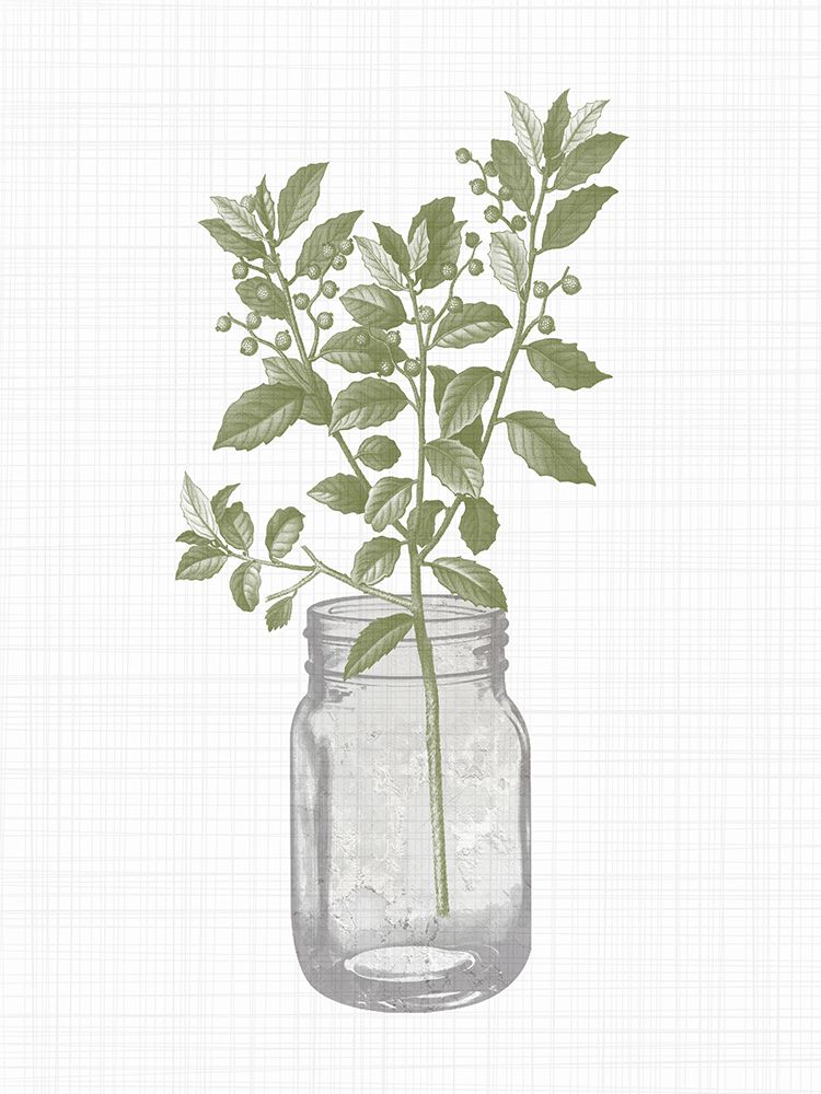 Jar Herbs 2 art print by Kimberly Allen for $57.95 CAD