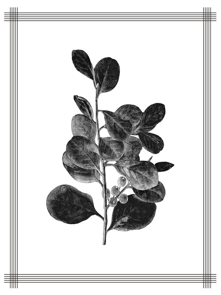 Pressed 1 art print by Kimberly Allen for $57.95 CAD