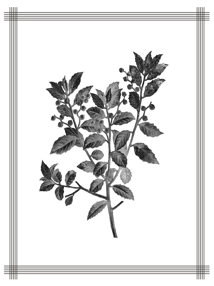 Pressed 2 art print by Kimberly Allen for $57.95 CAD