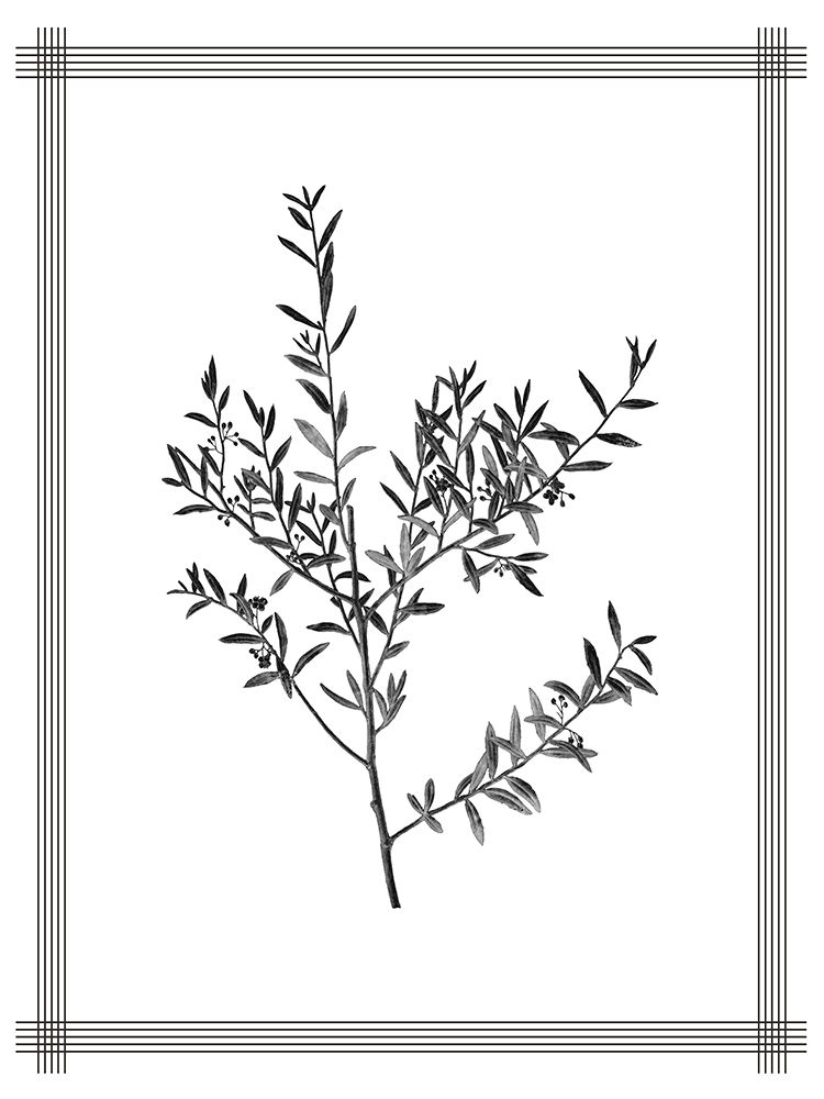 Pressed 3 art print by Kimberly Allen for $57.95 CAD