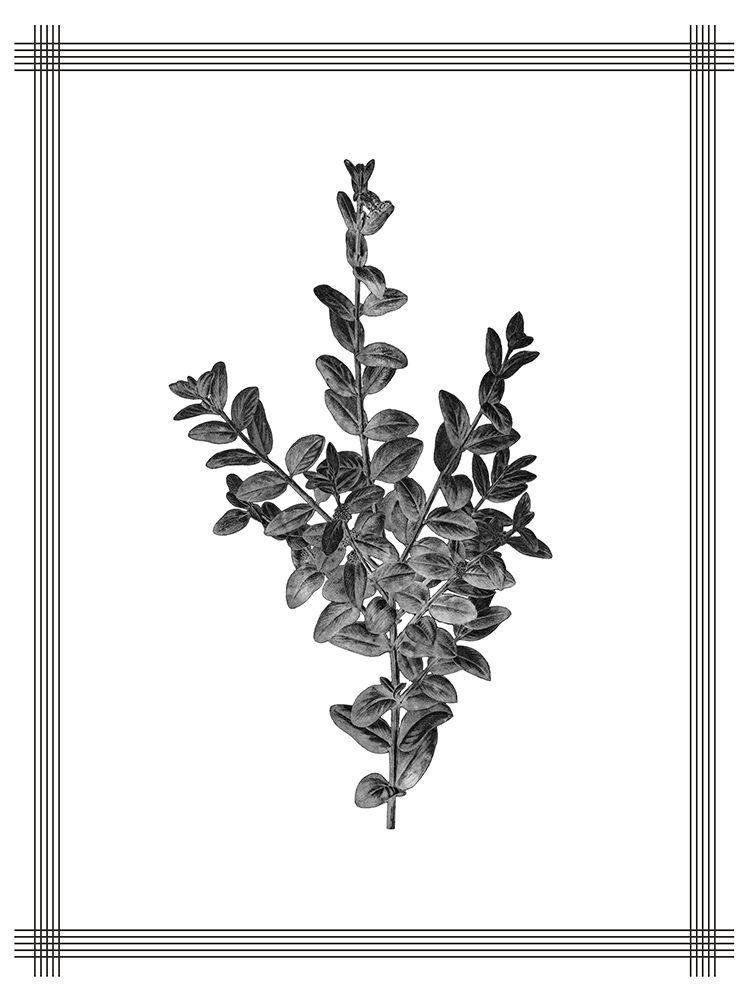 Pressed 4 art print by Kimberly Allen for $57.95 CAD