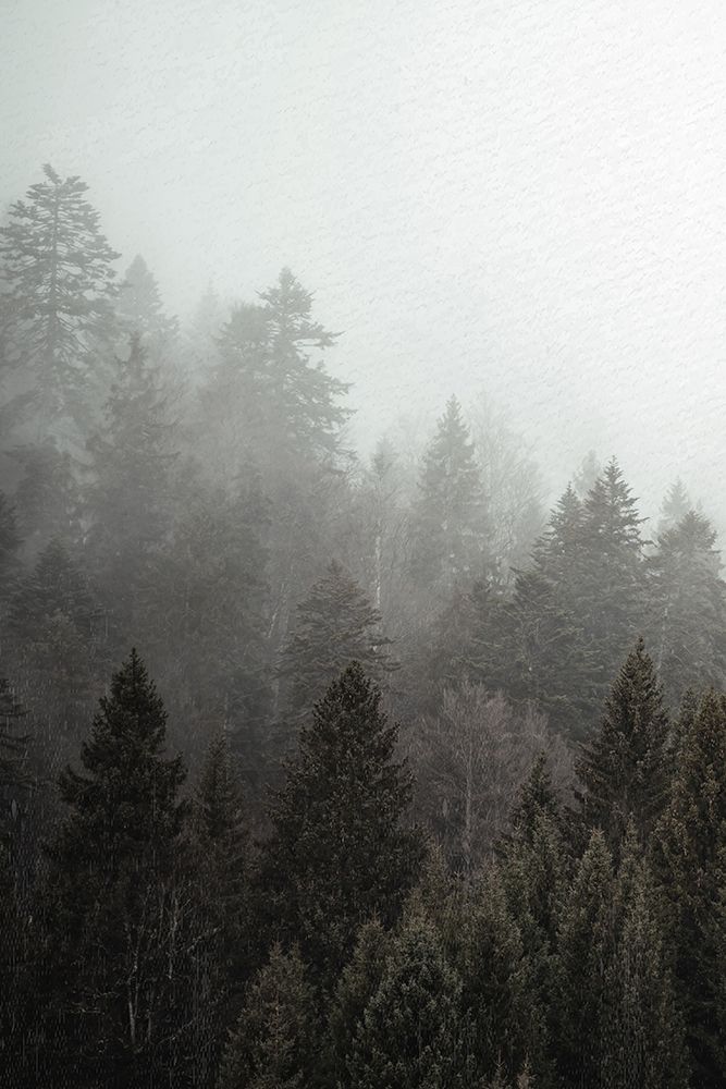 Mist 1 art print by Kimberly Allen for $57.95 CAD