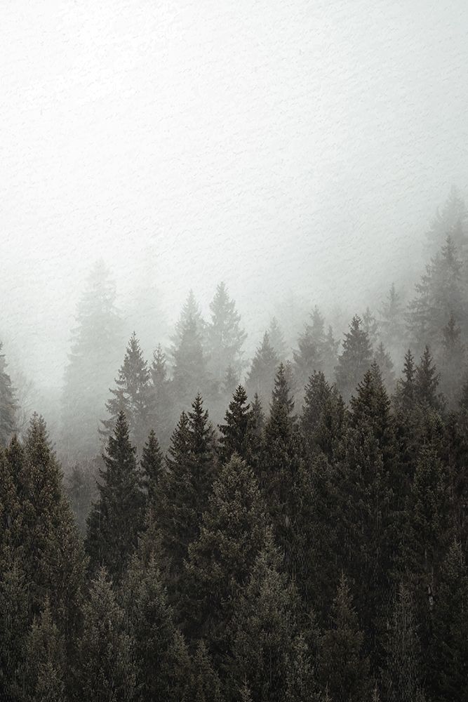 Mist 2 art print by Kimberly Allen for $57.95 CAD