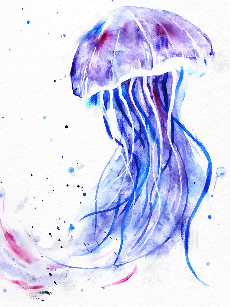 Jelly Jelly art print by Kimberly Allen for $57.95 CAD