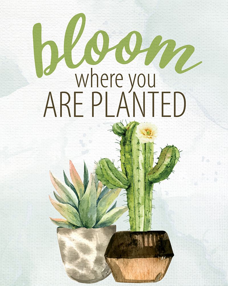 Bloom art print by Kimberly Allen for $57.95 CAD