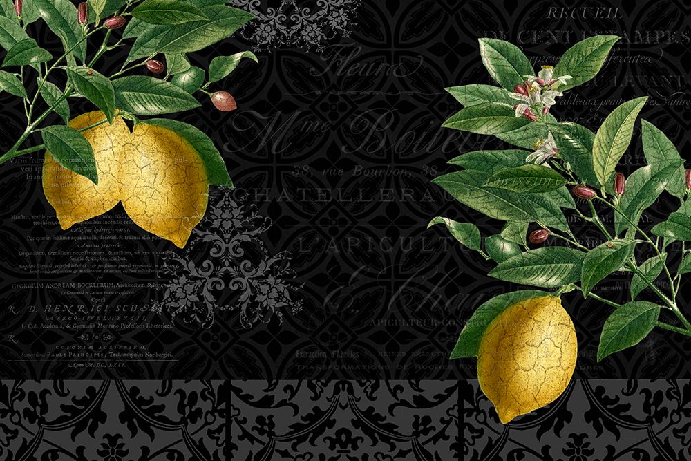 Lemon Drop art print by Kimberly Allen for $57.95 CAD
