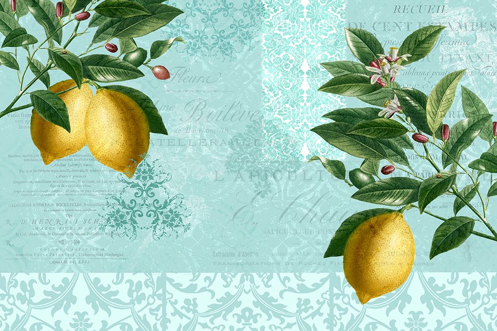 Lemon Drop art print by Kimberly Allen for $57.95 CAD