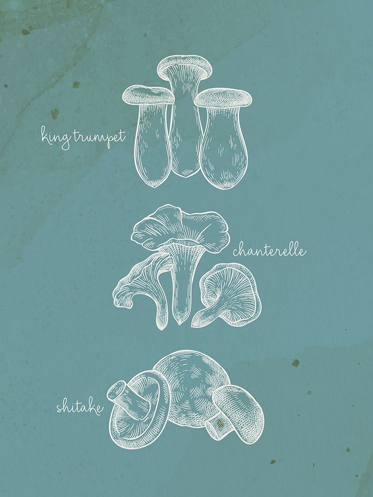 Mushroom Type 1 art print by Kimberly Allen for $57.95 CAD