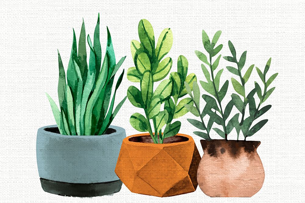 Potted Plants art print by Kimberly Allen for $57.95 CAD