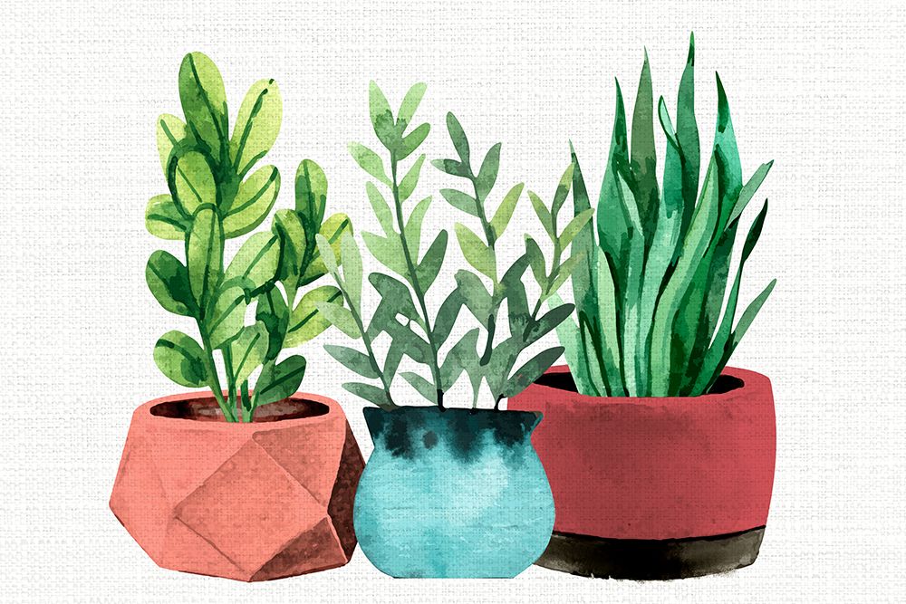 Summer Pots art print by Kimberly Allen for $57.95 CAD