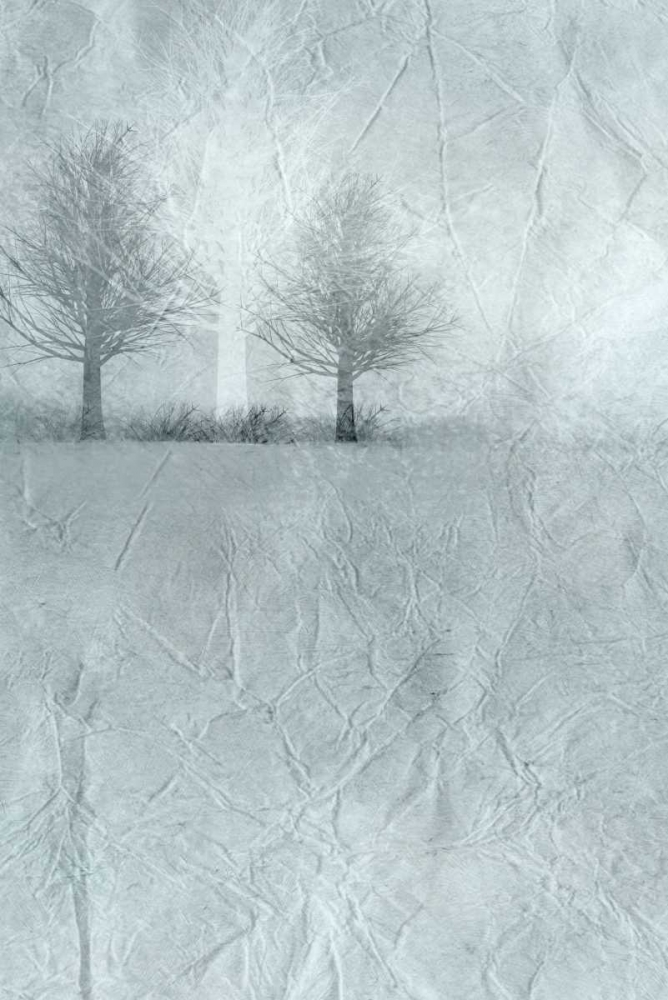 Dawn A art print by Kimberly Allen for $57.95 CAD