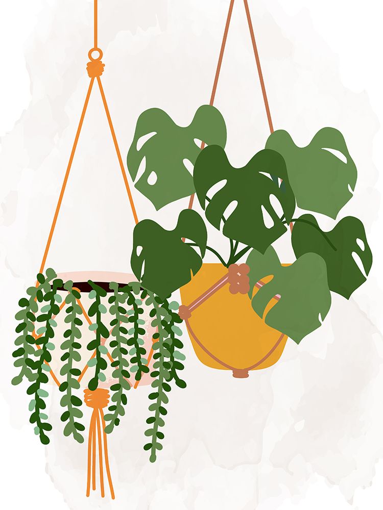 Hanging Plants art print by Kimberly Allen for $57.95 CAD