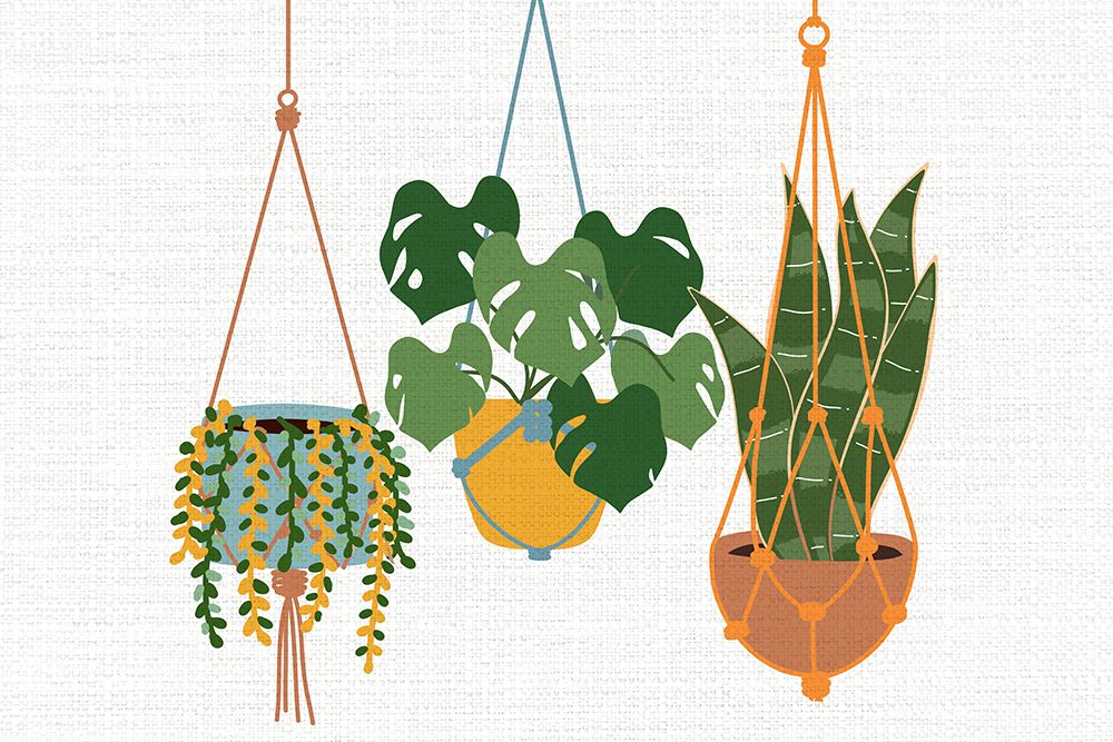 Three art print by Kimberly Allen for $57.95 CAD