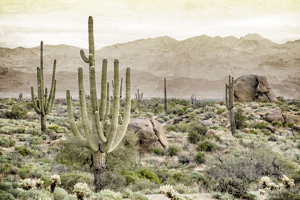 In the Valley V2 art print by Kimberly Allen for $57.95 CAD